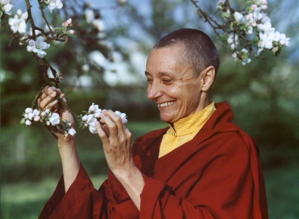 tenzin-palmo