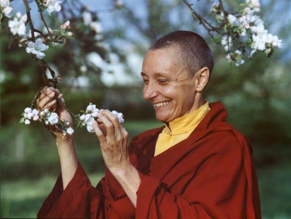 tenzin-palmo