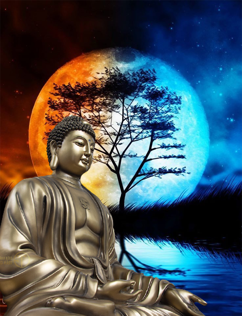 Hòa Thượng Thích Thanh Từ - Vẻ đẹp Phật Giáo